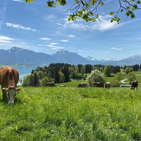 Best Butler Boho Boutique City Apartment Netflix Füssen 외부 사진