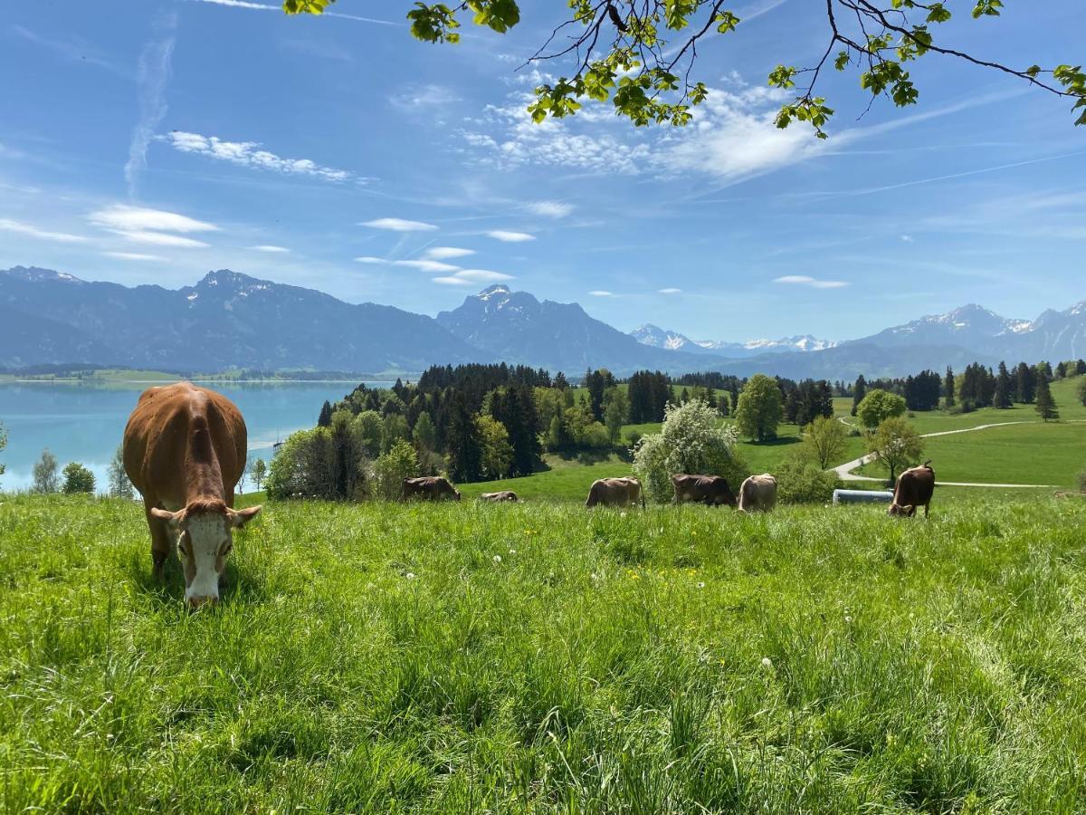 Best Butler Boho Boutique City Apartment Netflix Füssen 외부 사진